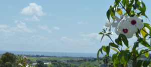 Photos Carlsbad, CA and surrounding areas